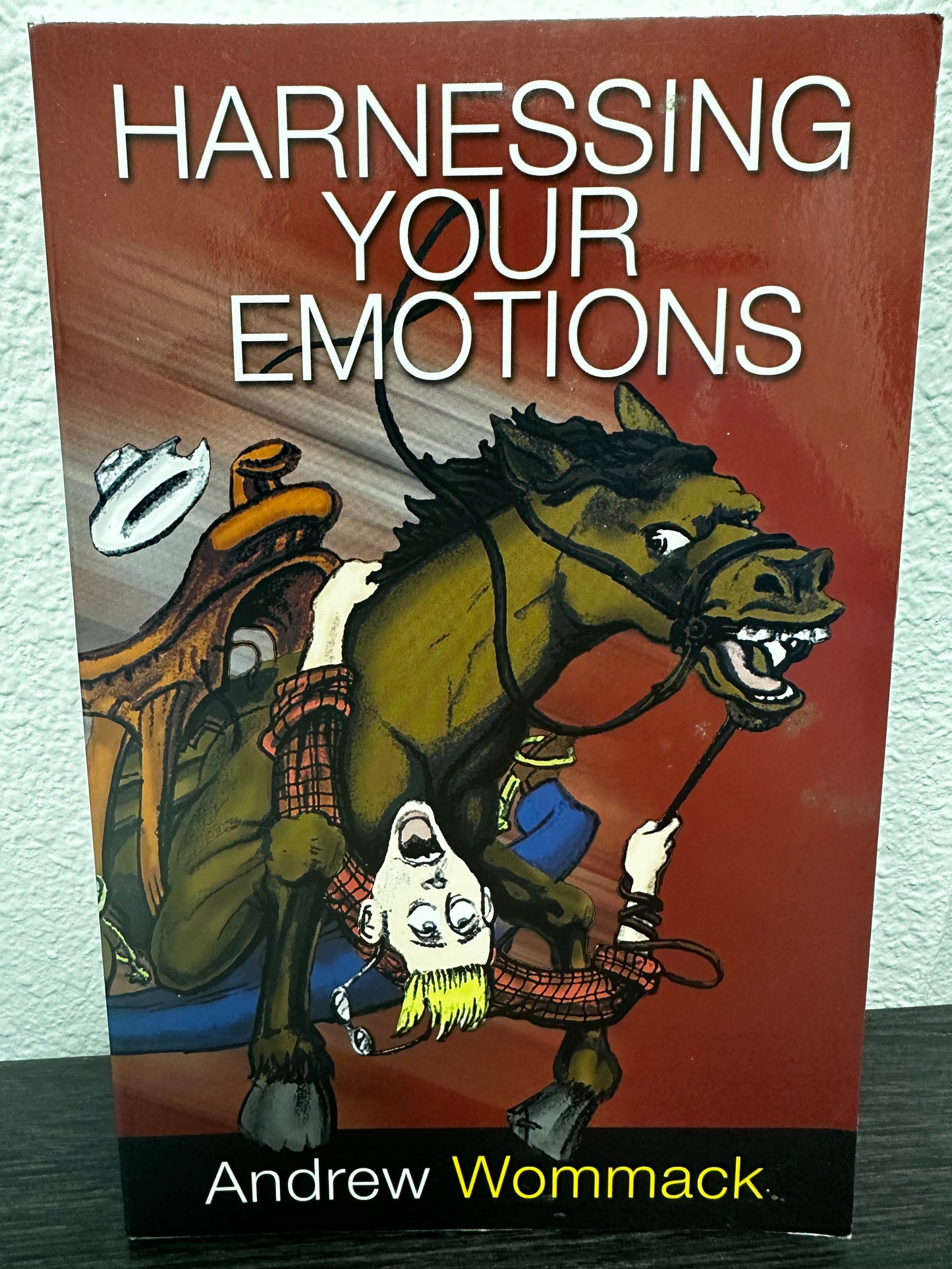 Harnessing Your Emotions By Andrew Wommack